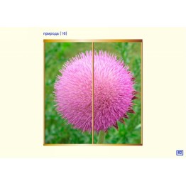 шкаф-купе (фотопечать на стекле)