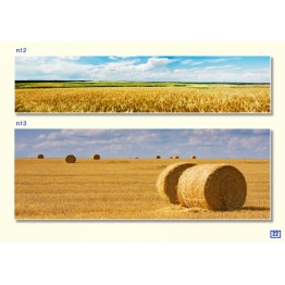 фальшпанель