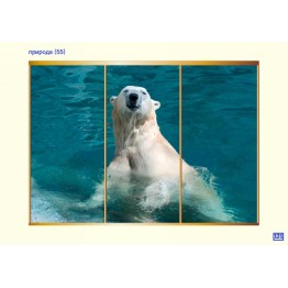 шкаф-купе (фотопечать на стекле)